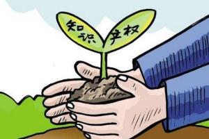 2020商標(biāo)、知識產(chǎn)權(quán)上半年主要數(shù)據(jù)統(tǒng)計(jì)??！